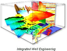 Diagram - Integrated Well Engineering